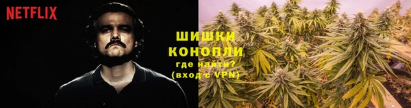 мяу мяу мука Кукмор