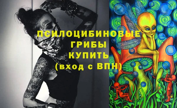 мяу мяу мука Кукмор